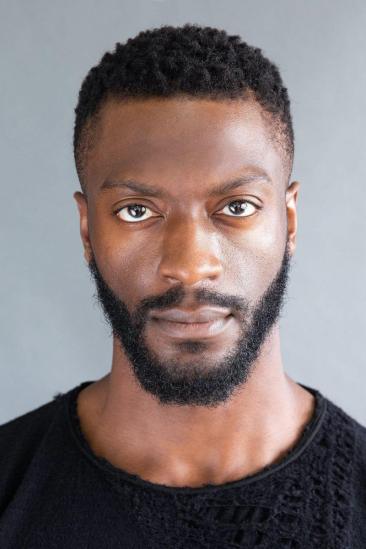 Aldis Hodge Image