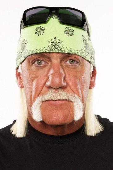 Hulk Hogan Image