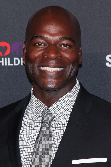 Hisham Tawfiq Image