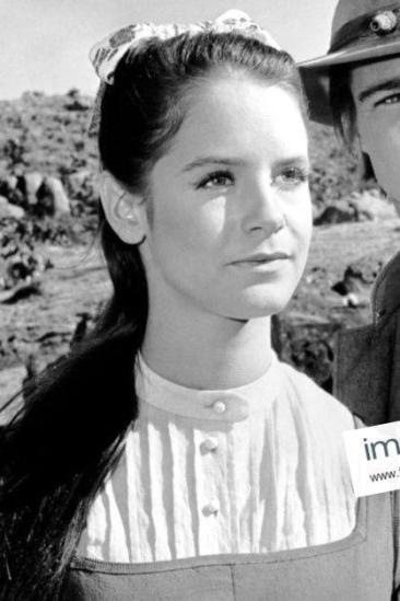 Melissa Newman Image