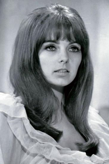 Dolly Read Image