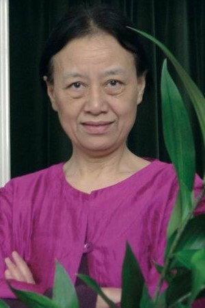 Xing Xing Cheng Image