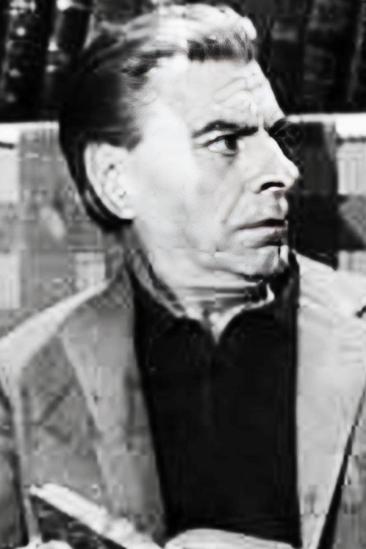 Vicente Ariño Image