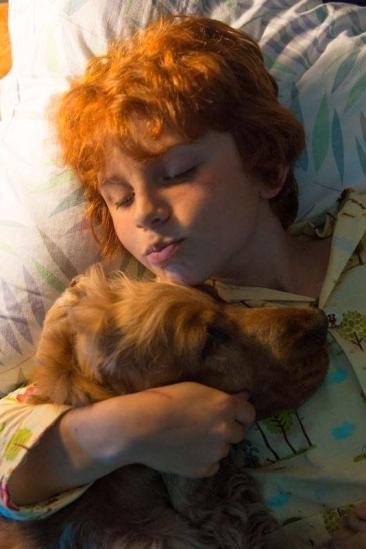 Charlie Langendries Image