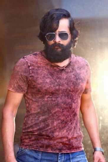 Srinagar Kitty Image