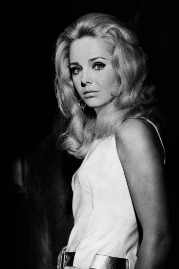 Karin Mossberg Image