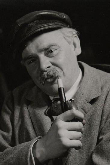 Karl Skraup Image