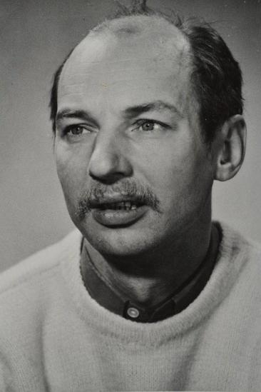 Väino Laes Image