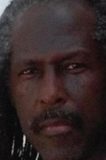 Adisa Anderson Image