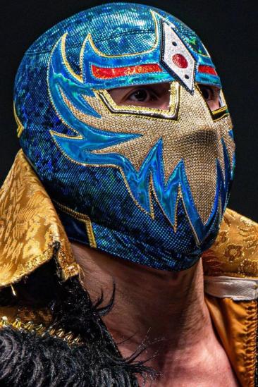 Metalik Image