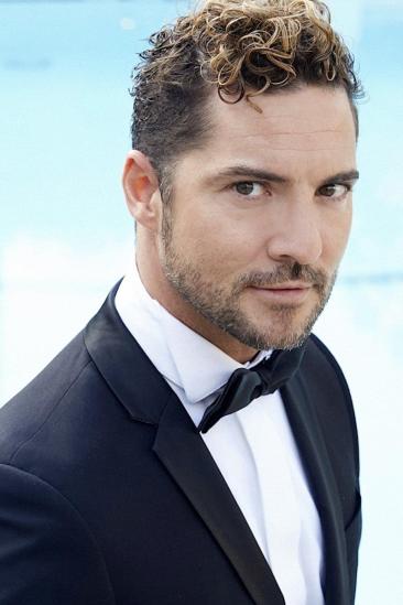David Bisbal Image