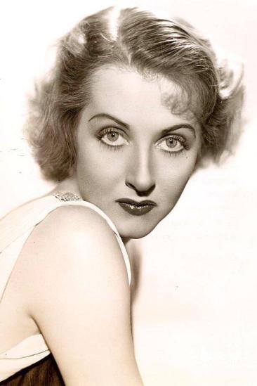 Templeton Fox Image