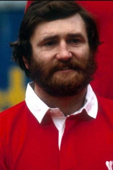 Ray Gravell Image