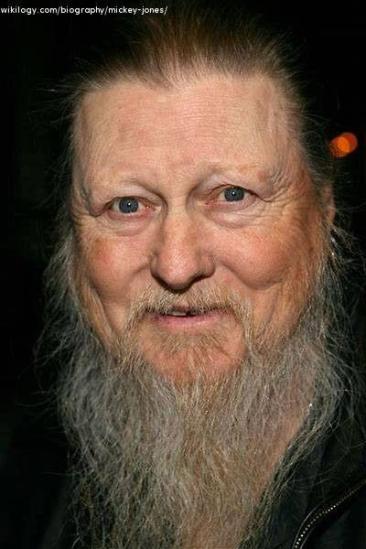 Mickey Jones Image