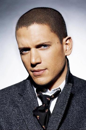 Wentworth Miller Image