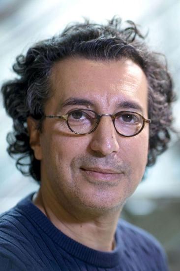 Nadir Moknèche Image