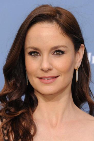 Sarah Wayne Callies Image
