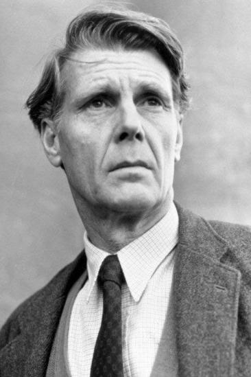 James Fox Image