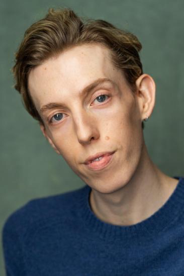 Harry Trevaldwyn Image