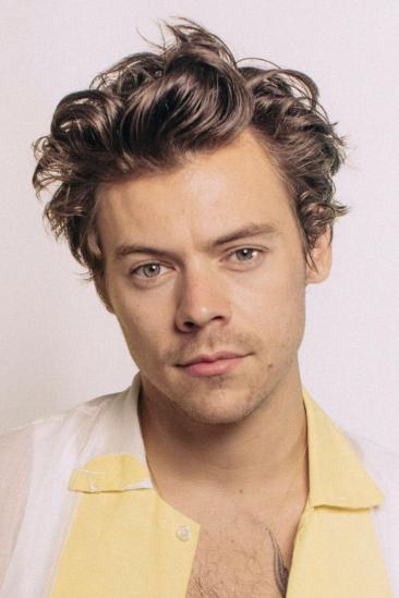 Harry Styles Image