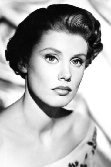 Susan Stephen Image