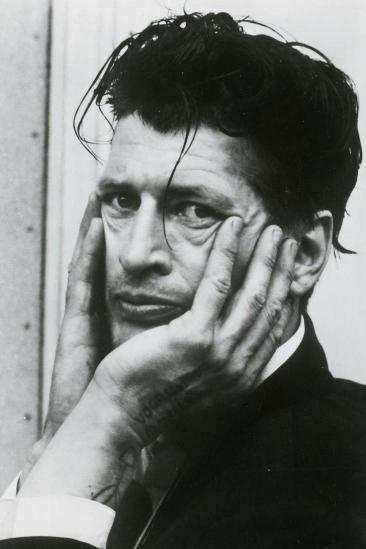 Herman Brood Image