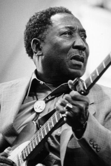 Muddy Waters Image