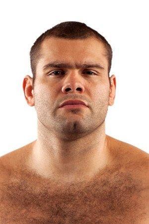 Gabriel Gonzaga Image