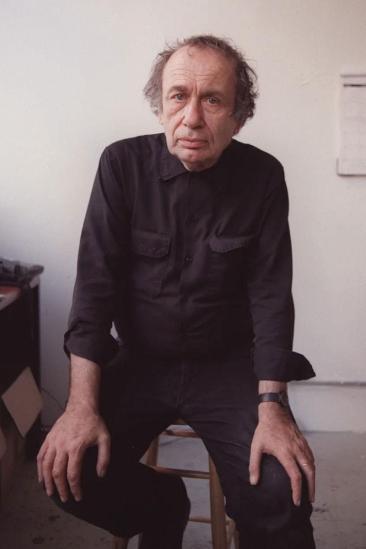 Vito Acconci Image