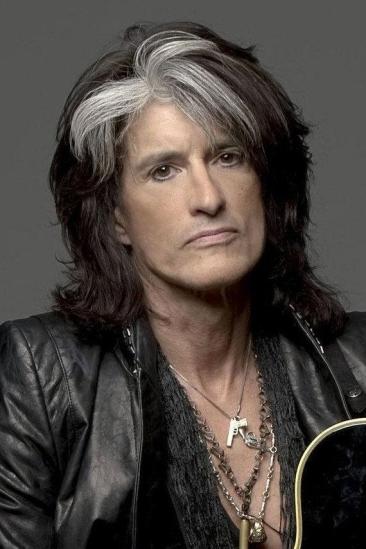 Joe Perry Image
