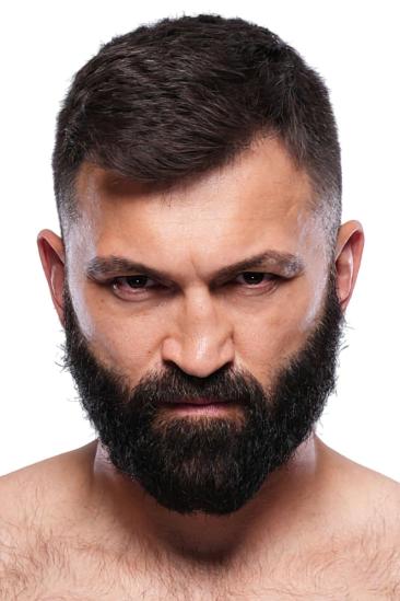 Andrei Arlovski Image