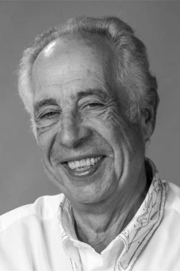 Luís Galvão Teles
