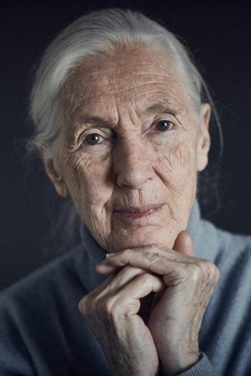Jane Goodall Image