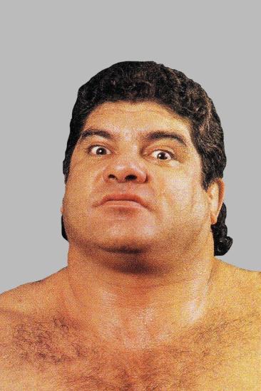 Don Muraco Image