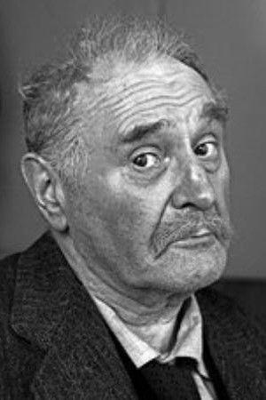 Willy Maertens Image