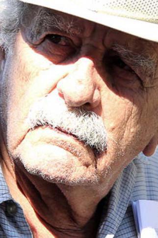 Raúl Pomares Image
