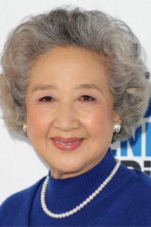 Zhao Shuzhen Image