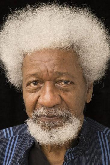 Wole Soyinka Image