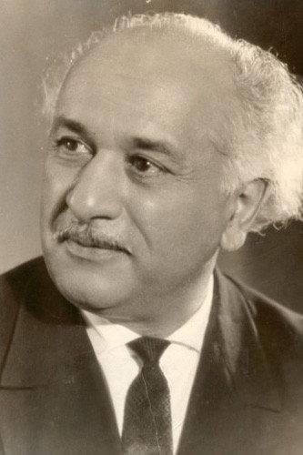 Mammadrza Sheikhzamanov Image