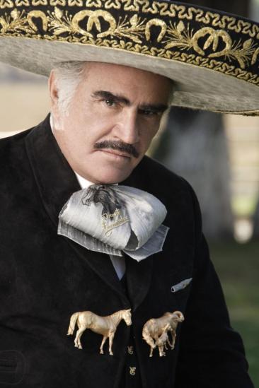 Vicente Fernández Image