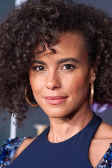 Parisa Fitz-Henley Image