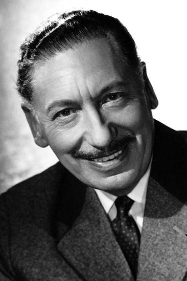 Willy Birgel Image