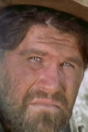 Vittorio Fanfoni Image
