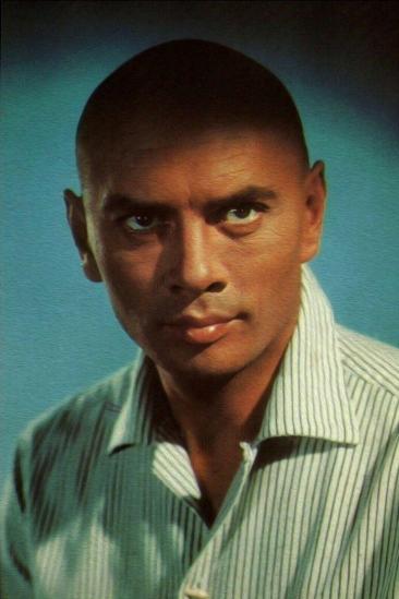 Yul Brynner Image