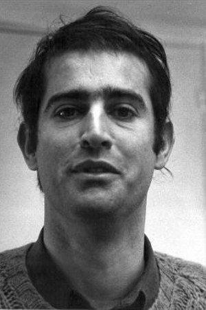 Martial Raysse Image