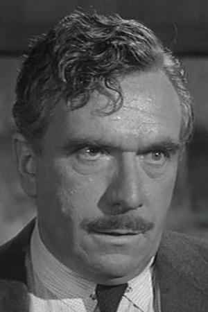 Cosmo Sardo Image
