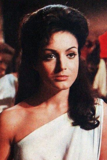 Paola Falchi Image