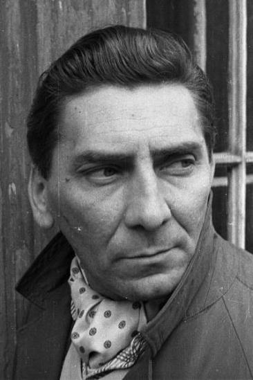 Tibor Molnár Image