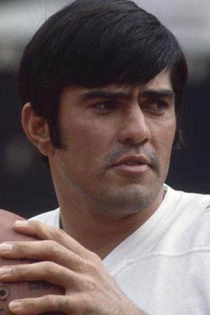 Roman Gabriel Image