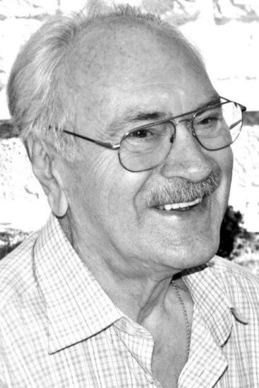 Ion Ungureanu Image